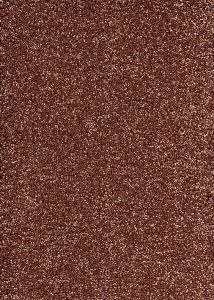 Vibes 84